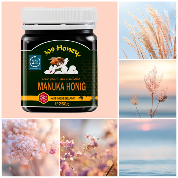 309 Manuka Honig MGO 300+ – Bild 4