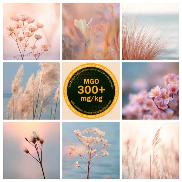 309 Manuka Honig MGO 300+ – Bild 6