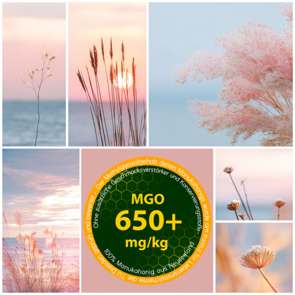 309 Manuka Honig MGO 650+ – Bild 6